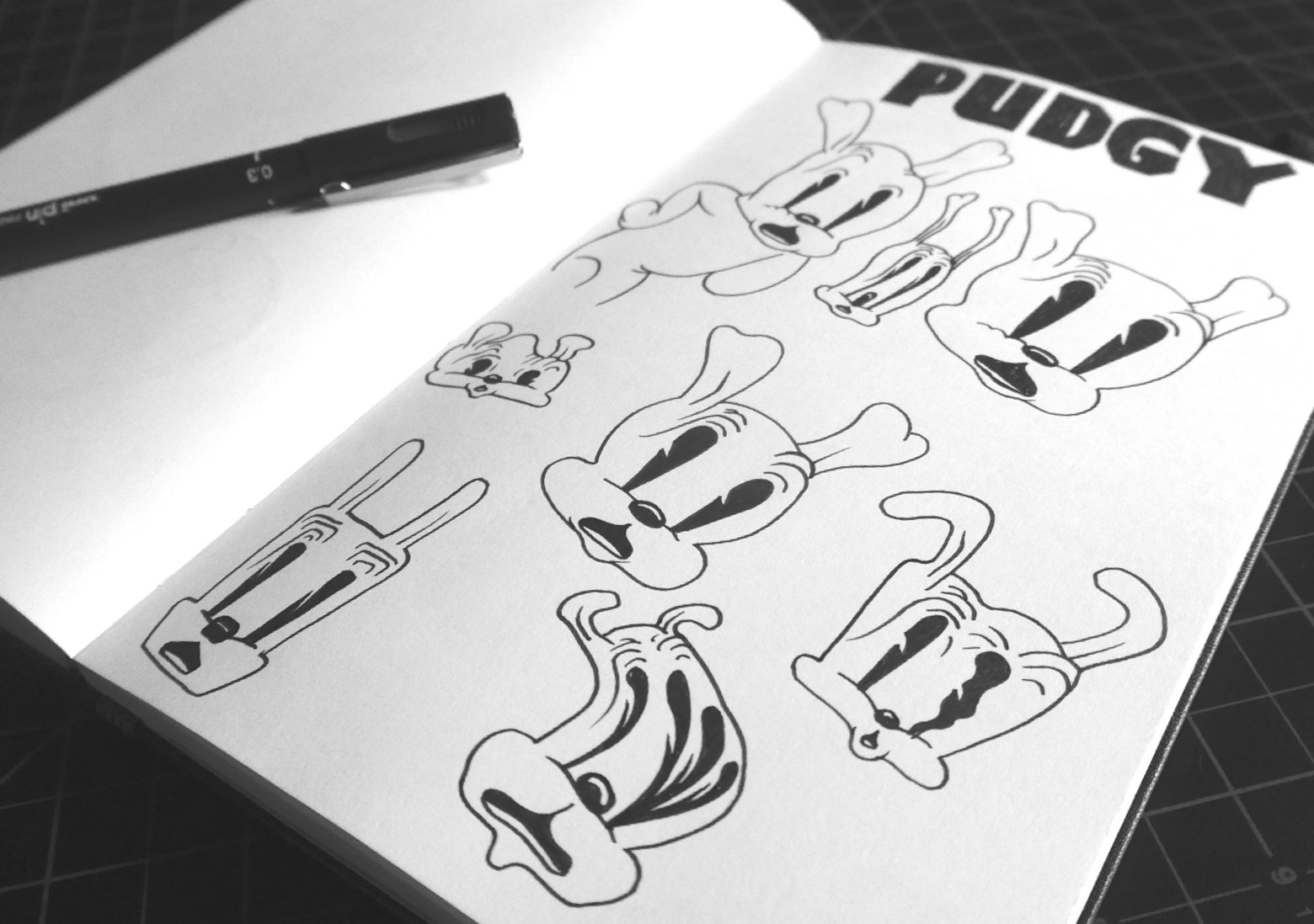 Photo of Parker's sketchbook with drawings of Pudgy the dog