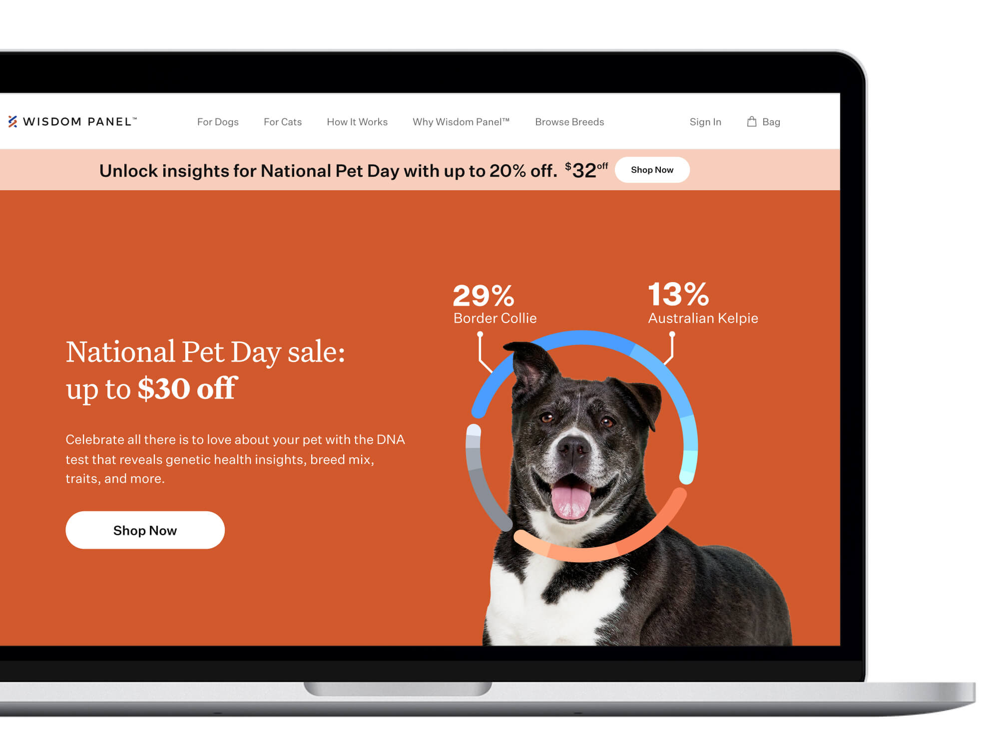 Wisdom Panel marketing campaign website homepage on laptop.