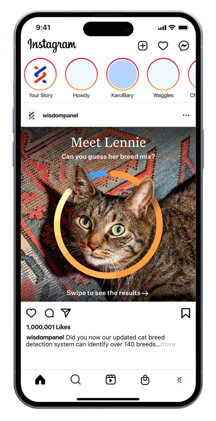 Wisdom Panel social design sample 3.